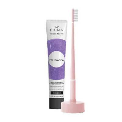 Gift Set Echinacea Baby Pink