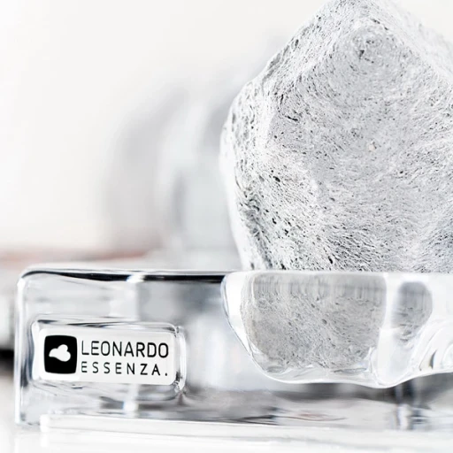 leonardo_long_2