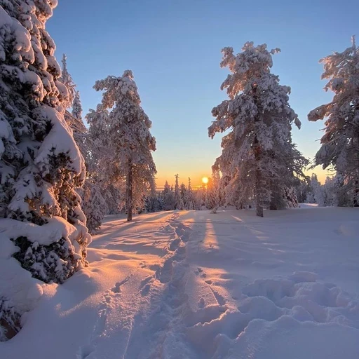 5e15b8e59de2c0e499cf7d7537fdf5e1-5c912eea-512x512-1